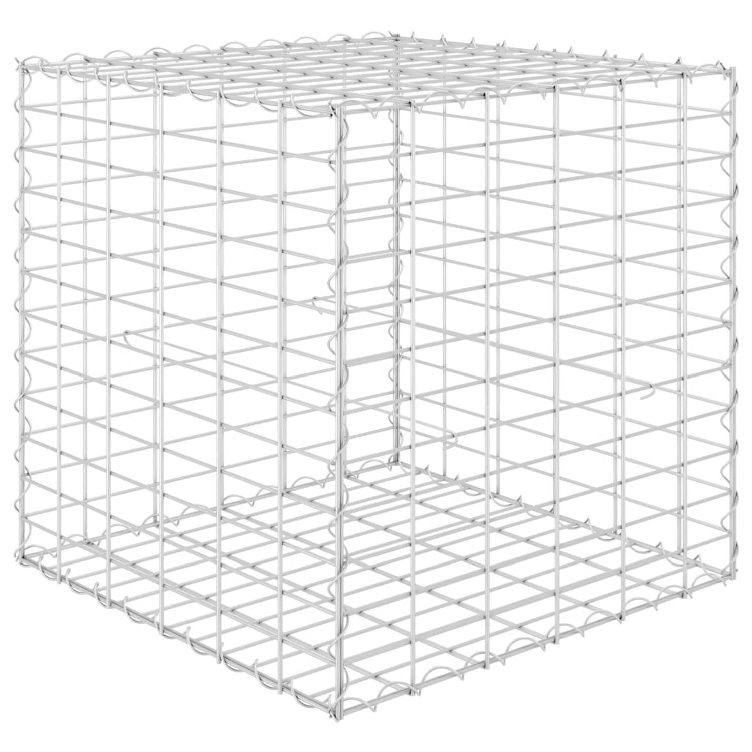 Vidaxl Gabion Plantenbak Verhoogd Kubus 60x60x60 Cm Staaldraad - Plata