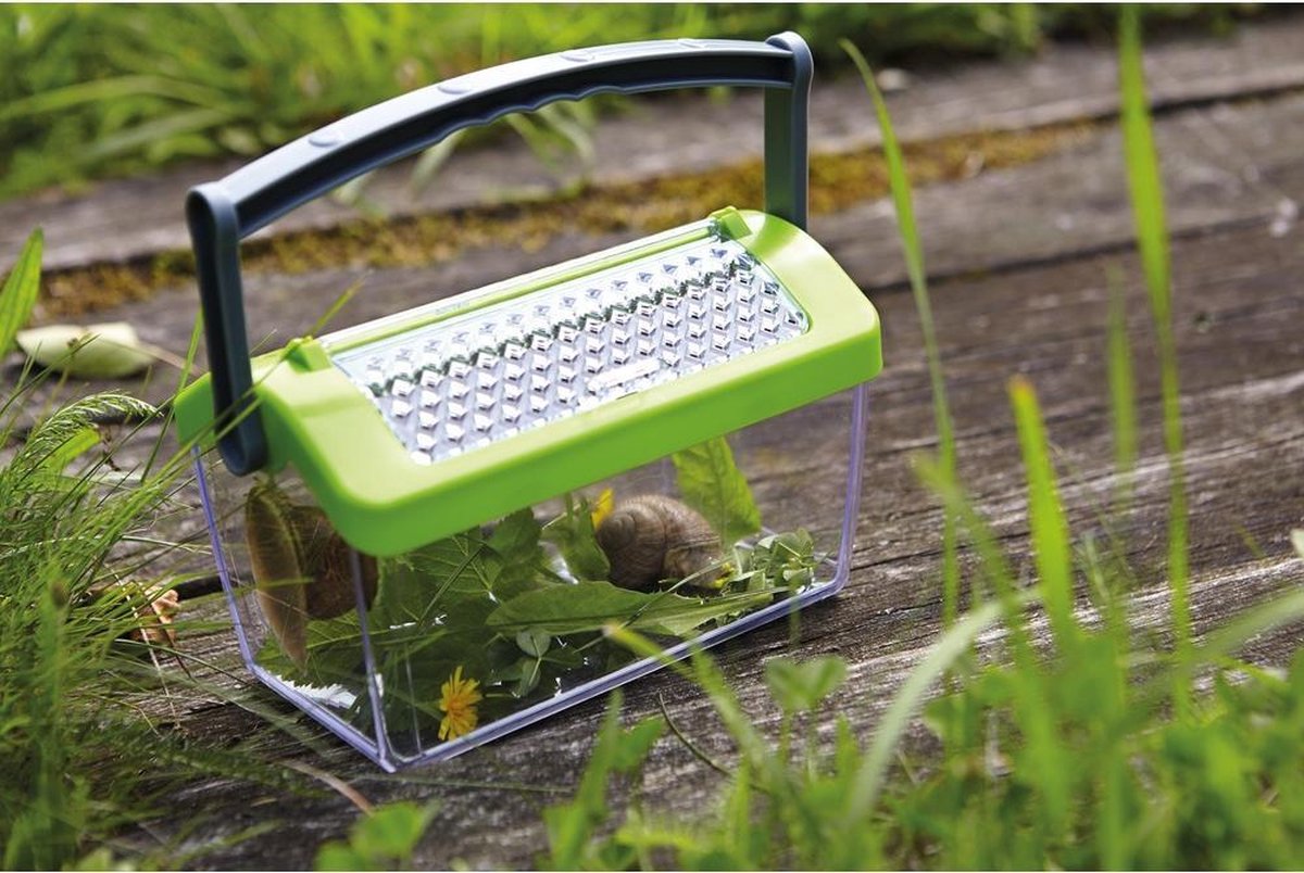 HABA Terra Kids Insectendoos 19 Cm Transparant/groen