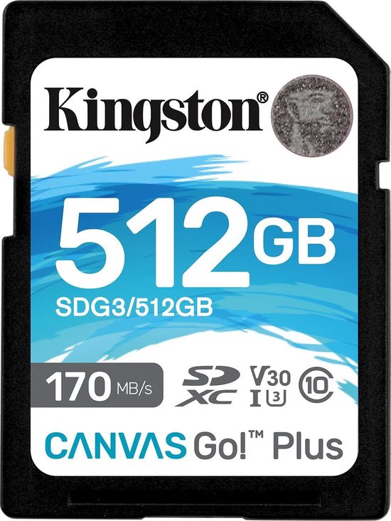 Kingston Canvas Go Plus 512GB - Negro
