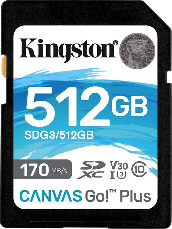 Kingston Canvas Go Plus 512GB - Zwart