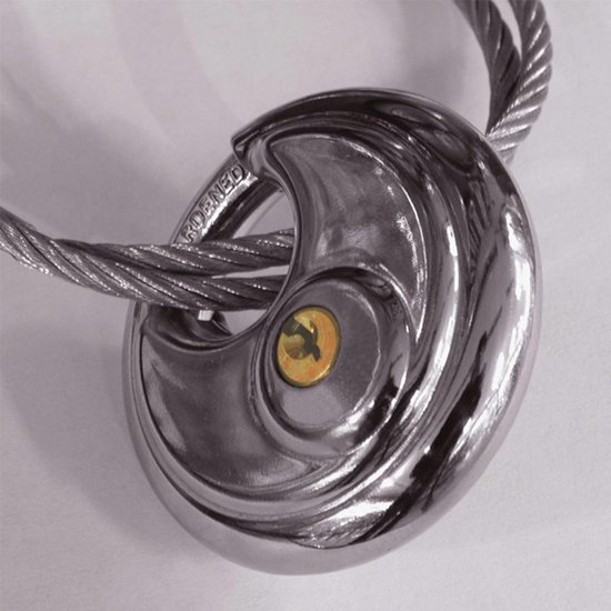 CarPoint Hangslot Discus 70 X 9 Mm Zilver - Silver