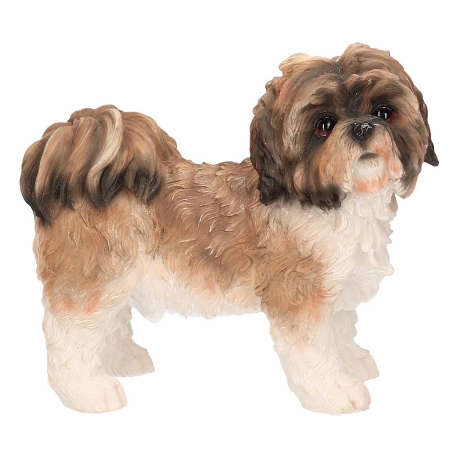 Beeldje Schoothondje Shih Tzu/wit11 Cm - Bruin