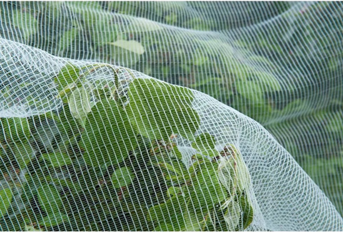 Nature Insectennet tegen fruitmot 6030450