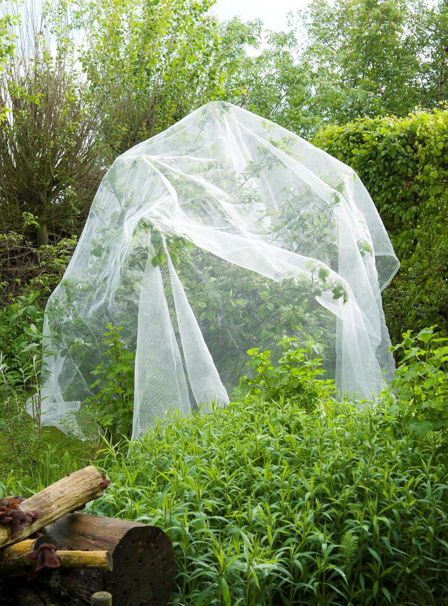 Nature Insectennet tegen fruitmot 6030450