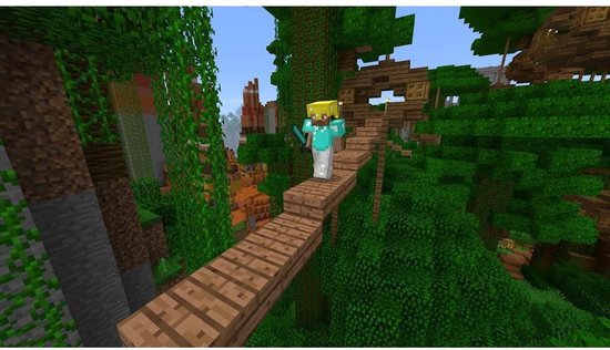 Nintendo Minecraft Switch