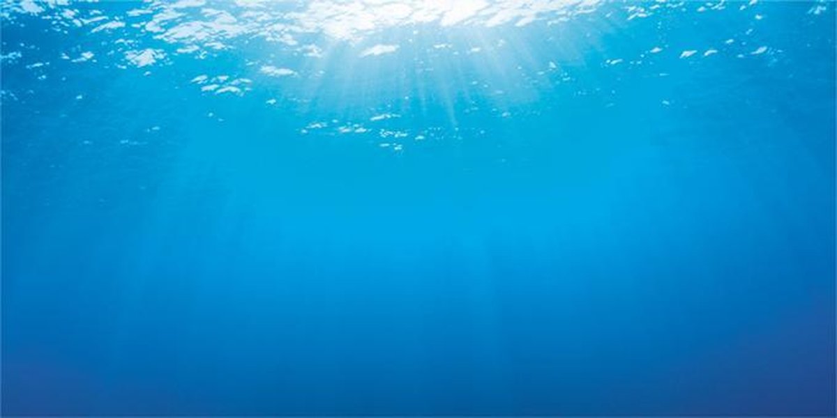 Juwel Achterwand Poster 2 Xl - Aquarium - Achterwand - 150x60 cm