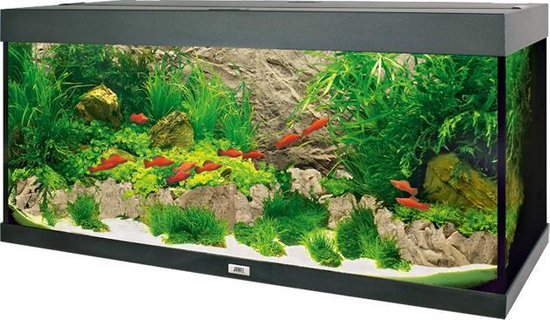 Juwel Achterwand Cliff Light - Aquarium - Achterwand - 60x55x3 cm