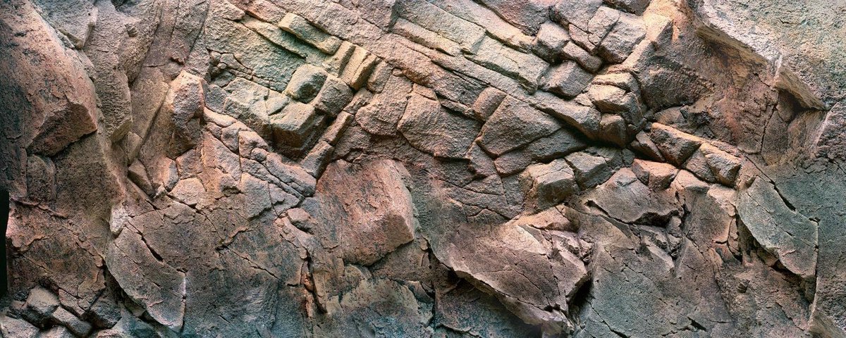 Juwel Achterwand Poster 1 L - Aquarium - Achterwand - 100x50 cm