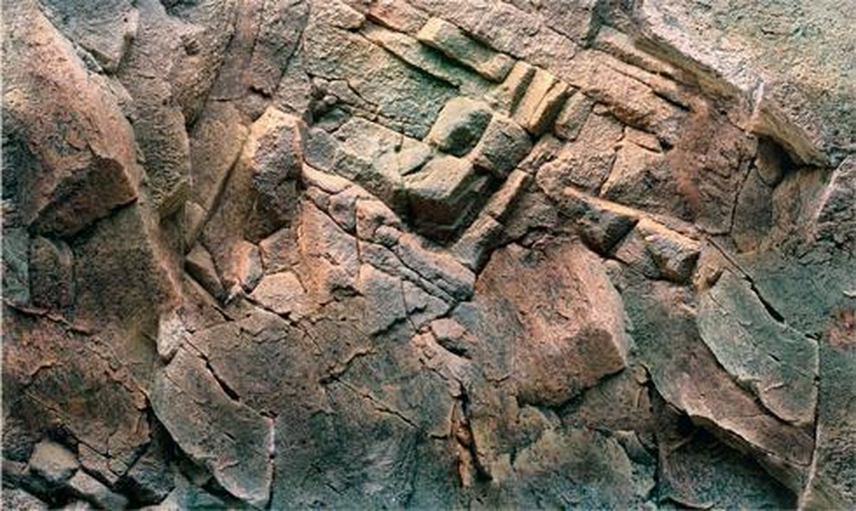 Juwel Achterwand Poster 1 L - Aquarium - Achterwand - 100x50 cm