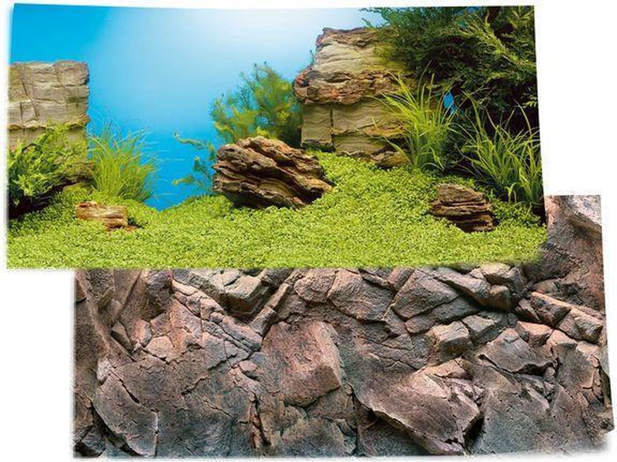 Juwel Achterwand Poster 1 L - Aquarium - Achterwand - 100x50 cm