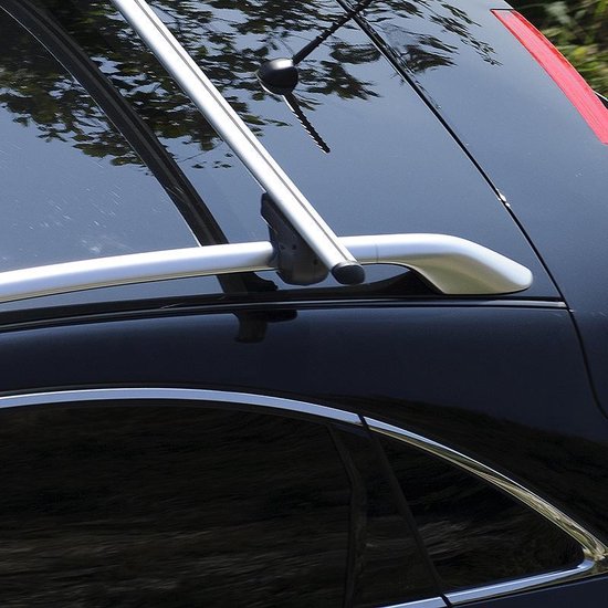 PROPLUS Dakraildrager - Silver