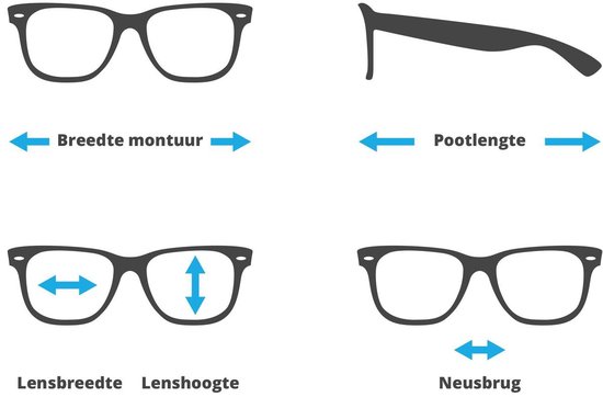 Sinner Zonnebril Cayo