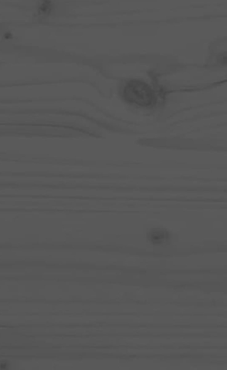 Vidaxl Nachtkastjes 2 St 40x34x55 Cm Massief Grenenhout - Grijs