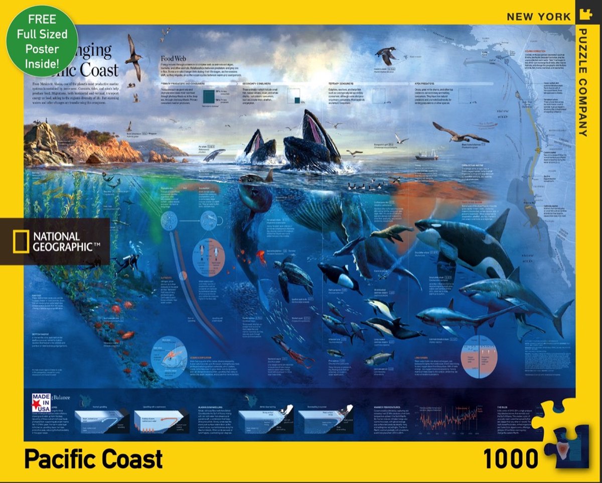 Pacific Coast 1000-delige Puzzel