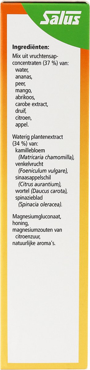 Salus Floradix magnesium