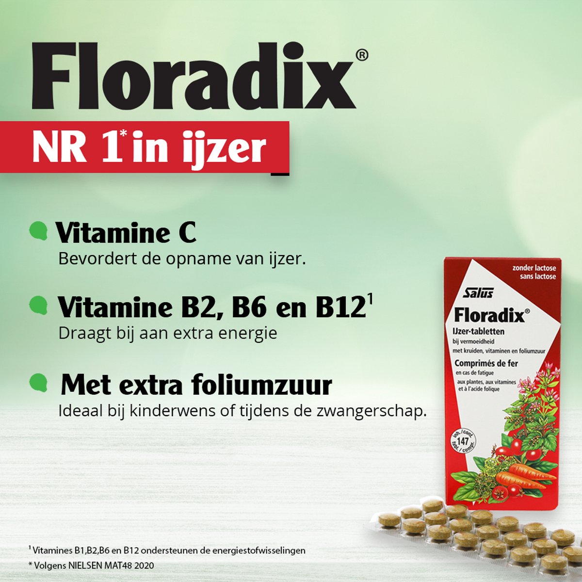 Salus Floradix ijzer tabletten