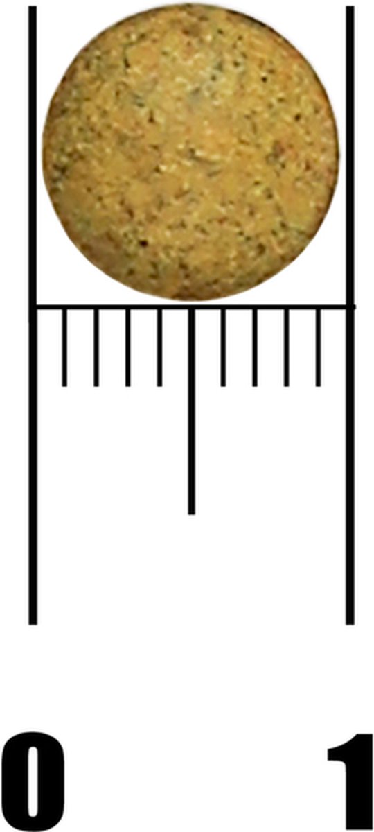 Salus Floradix ijzer tabletten