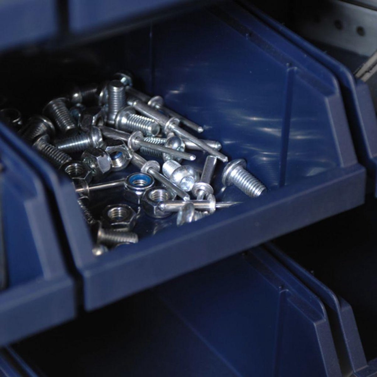 Raaco Magazijnbakken 2 wandpanelen met 48 bakjes - 181204