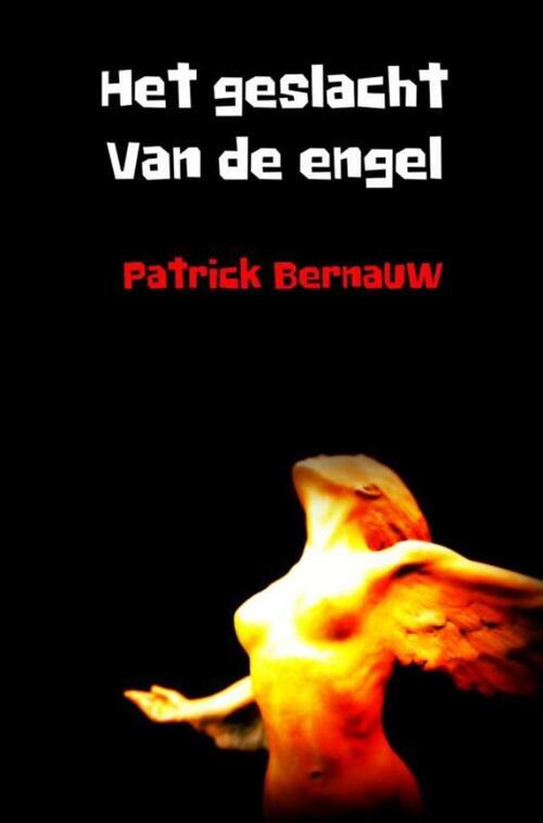 Het geslacht van de engel