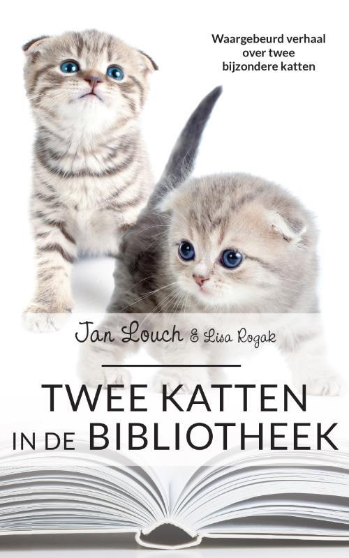 The House Of Books Twee katten in de bibliotheek