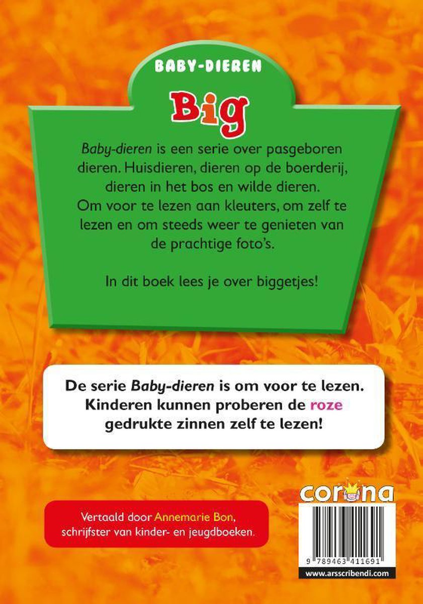 Big