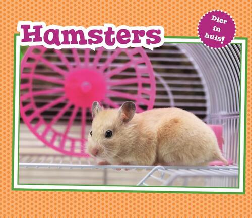 Corona Hamsters