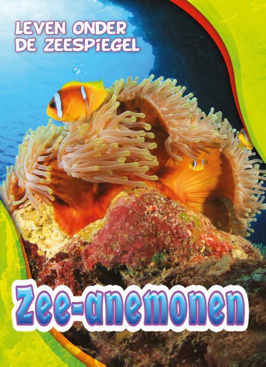 Corona Zee-anemonen