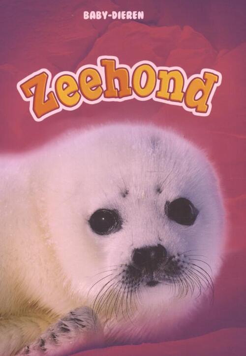 Corona Zeehond