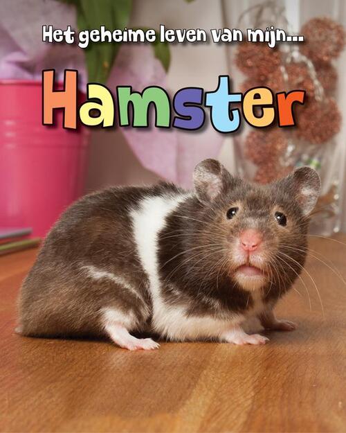 Corona Hamster