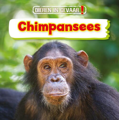 Corona Chimpansees