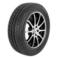 Profil Winter Maxx Evo ( 205/55 R16 91H, cover ) - Zwart