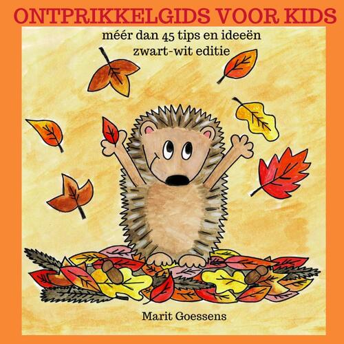 Mijnbestseller.nl Ontprikkelgids voor kids