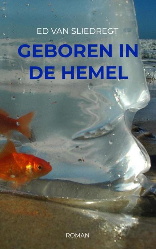 Brave New Books Geboren in de hemel