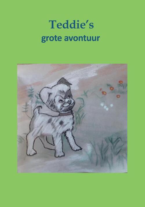 Teddies grote avontuur