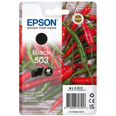 Epson Inktpatroon zwart, 210 pagina's T09Q1 Replace: N/A