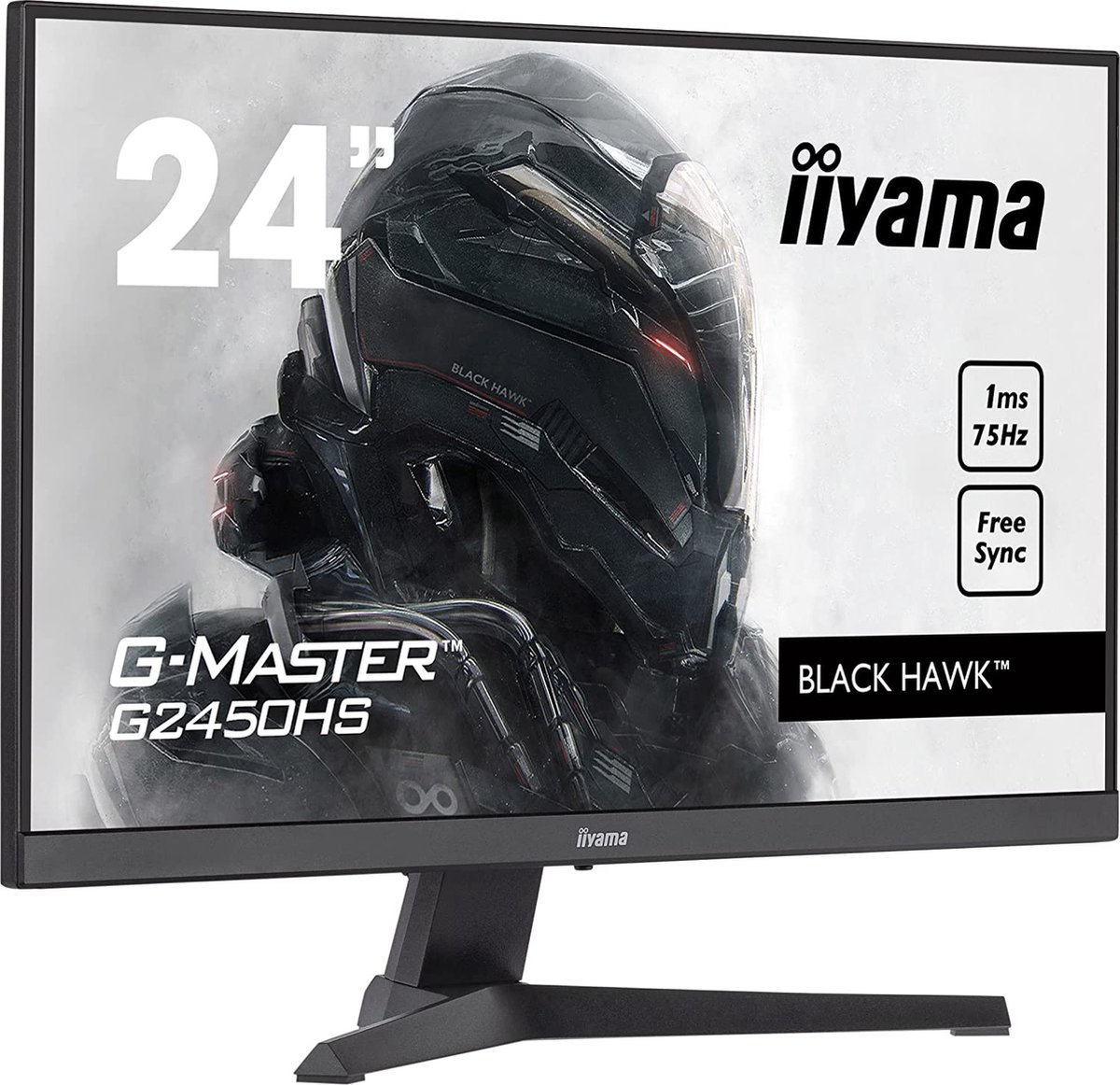 iiyama G-Master G2450HS-B1 monitor