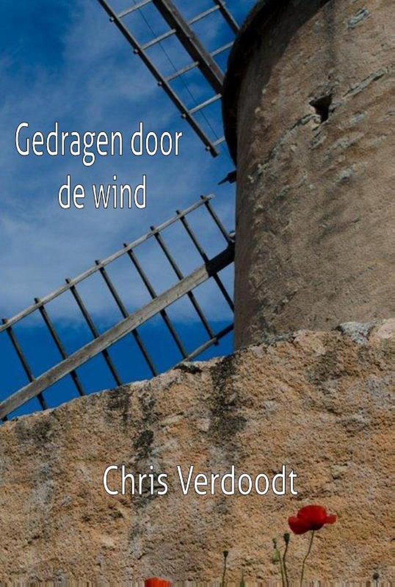 Piramidions Gedragen door de wind