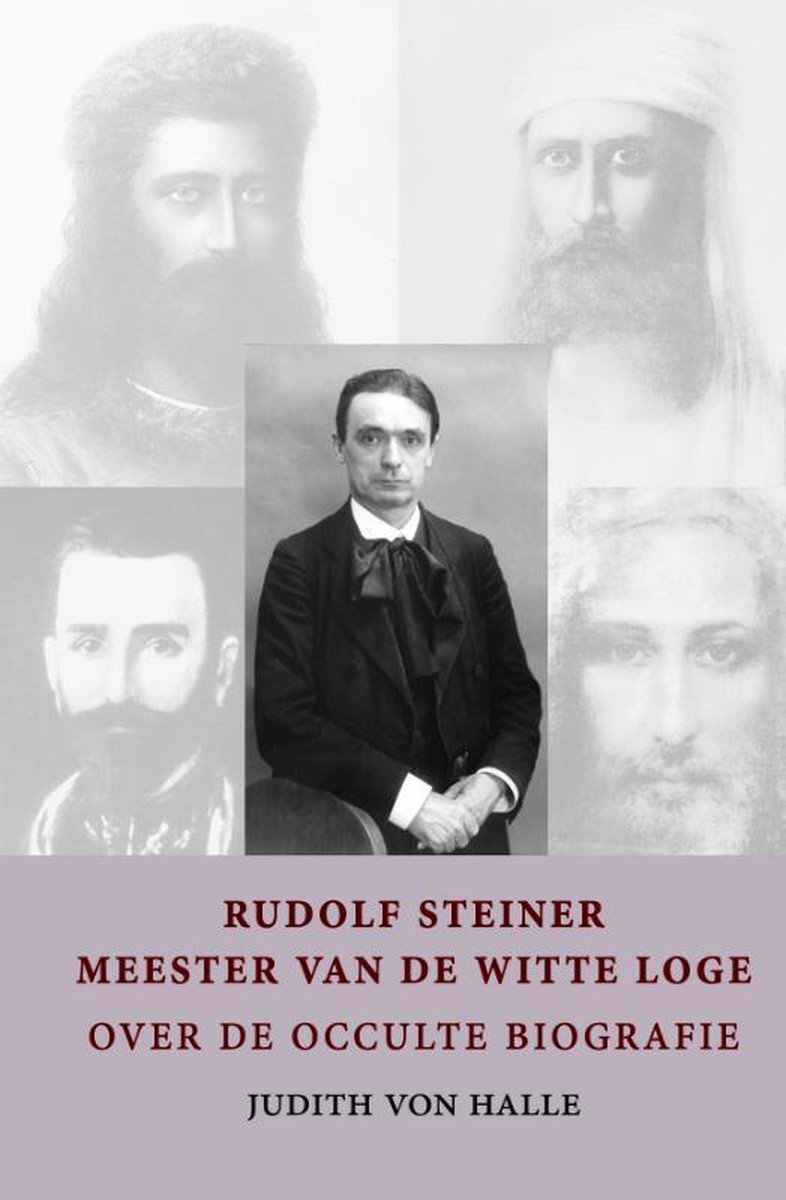 Cichorei Rudolf Steiner - meester van de witte loge