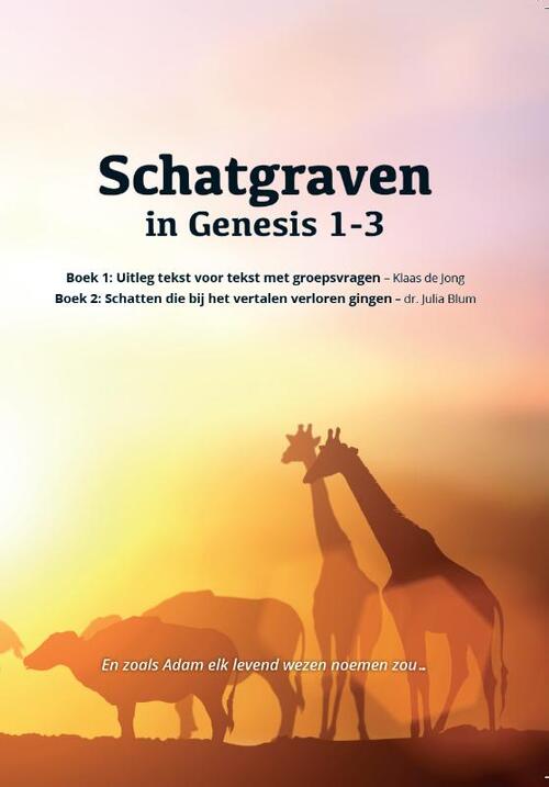 Toetssteen Schatgraven in Genesis 1-3