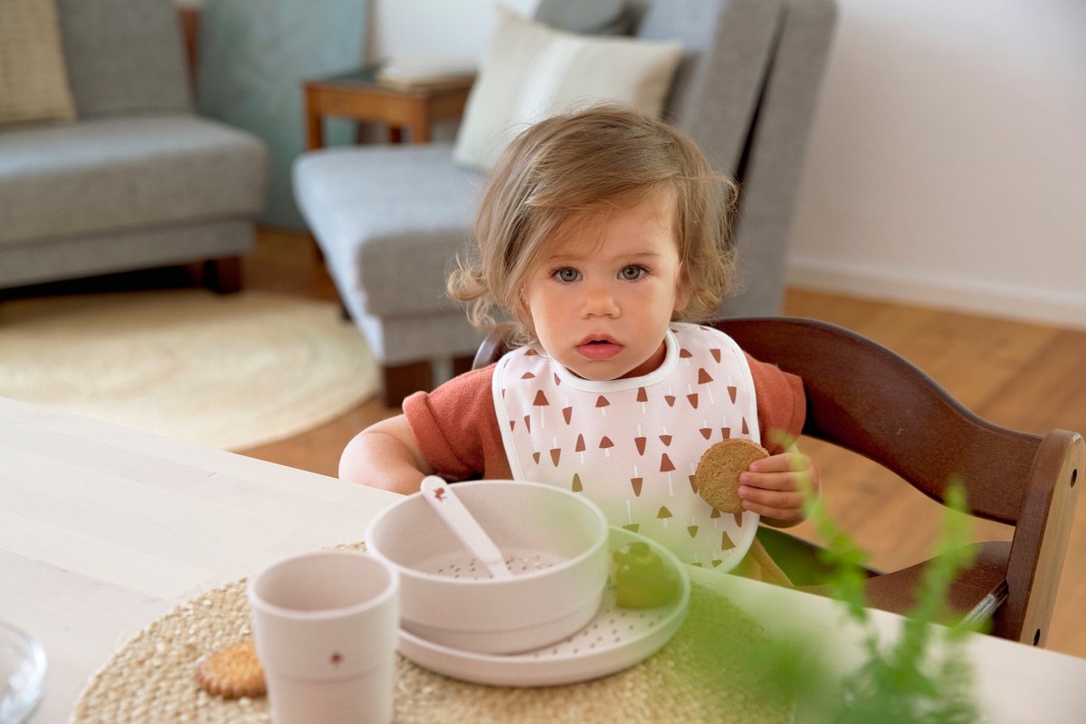 Lassig Lässig Actie Pack Slabbetjes 5 Pcs Little Forest Rabbit