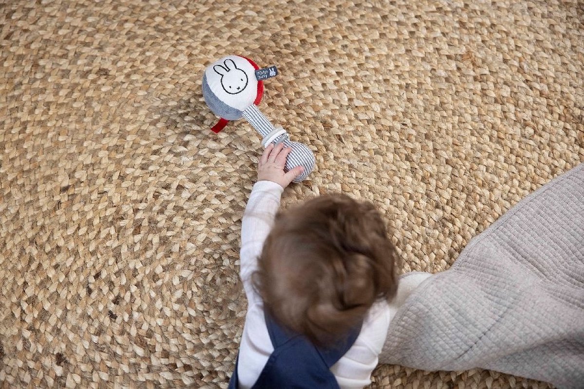 Nijntje - Rammelaar Bal - Fun At Sea