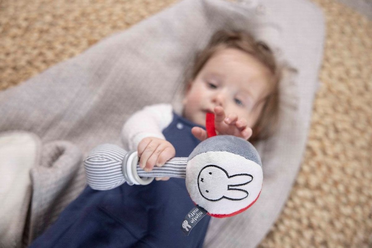 Nijntje - Rammelaar Bal - Fun At Sea