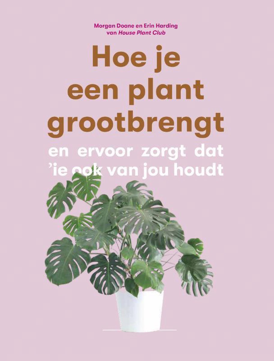 Hoe je een plant grootbrengt