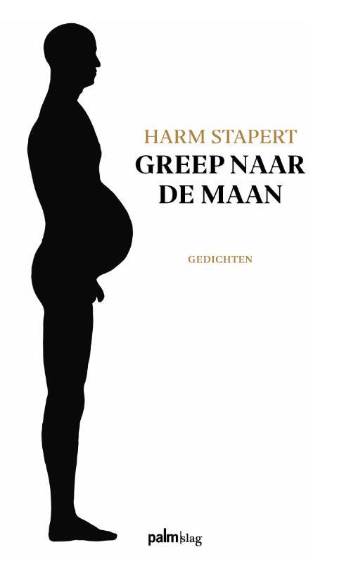 Greep naar de maan