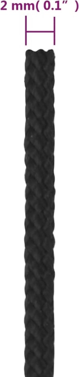 Vidaxl Boottouw 2 Mm 250 M Polypropeen - Zwart