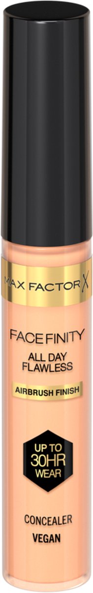 Face Finity Al Day Concealer 30