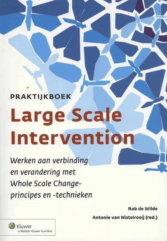 Boom Uitgevers Praktijkboek large scale intervention