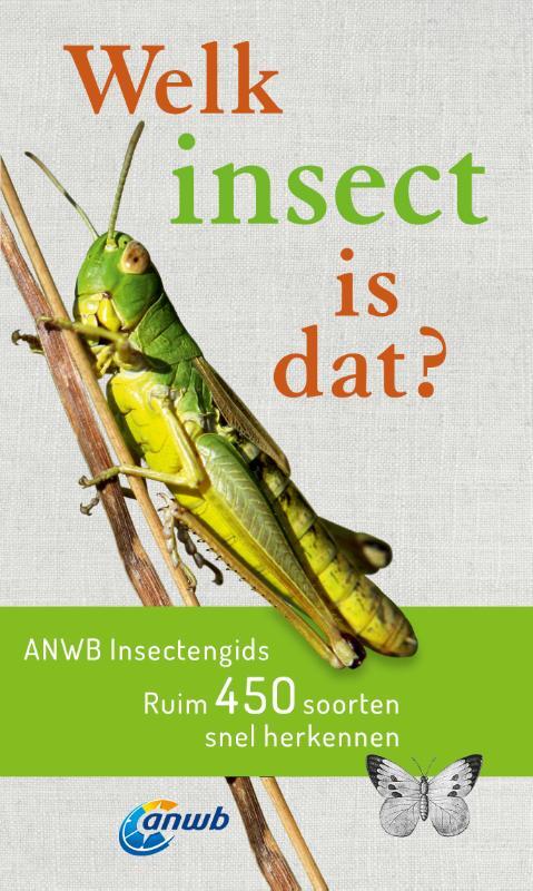 Kosmos Uitgevers Welk insect is dat? ANWB Insectengids