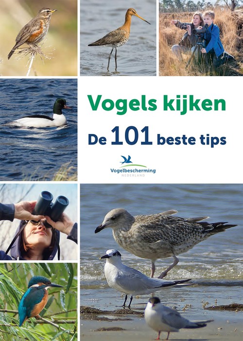 Kosmos Uitgevers Vogels kijken