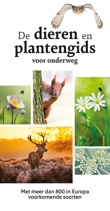 Kosmos Uitgevers De dieren- en plantengids voor onderweg